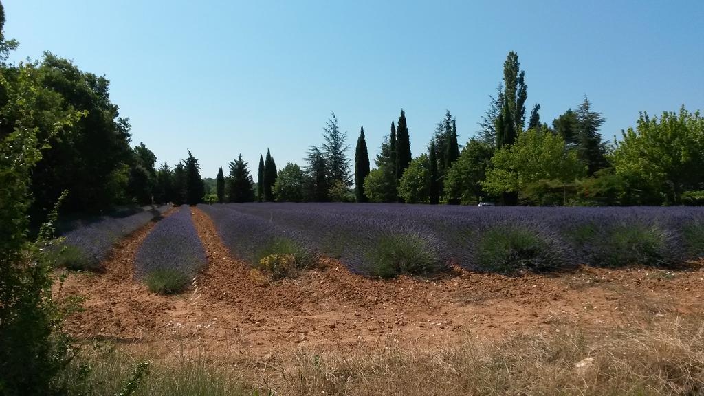 Residence Les Rossignols Roussillon en Isere Zewnętrze zdjęcie